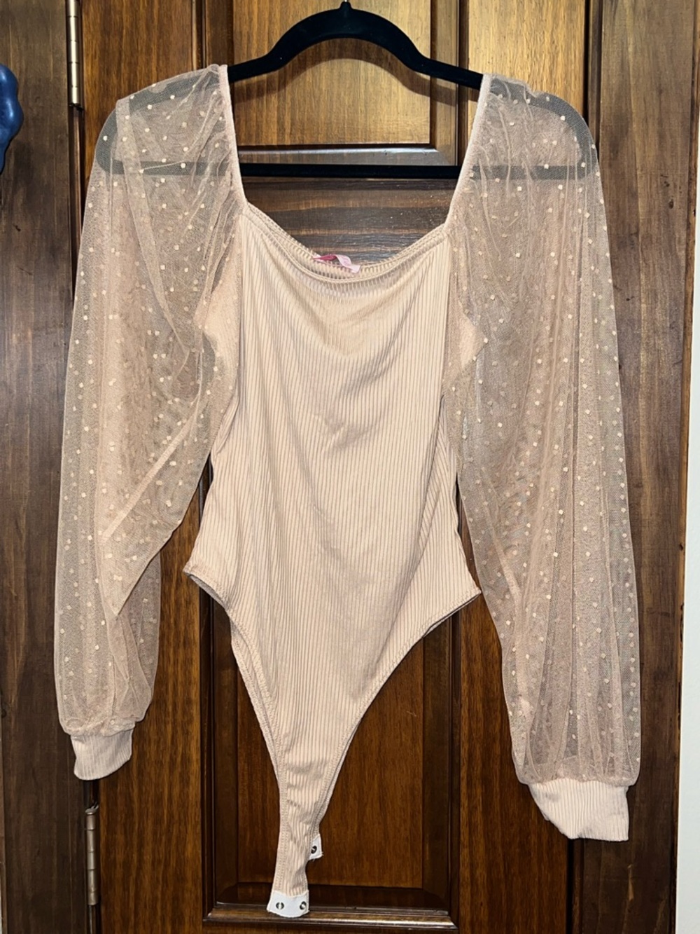 Pink Lily Blush Sheer Polka Dot Sleeve Ribbed Bodysuit